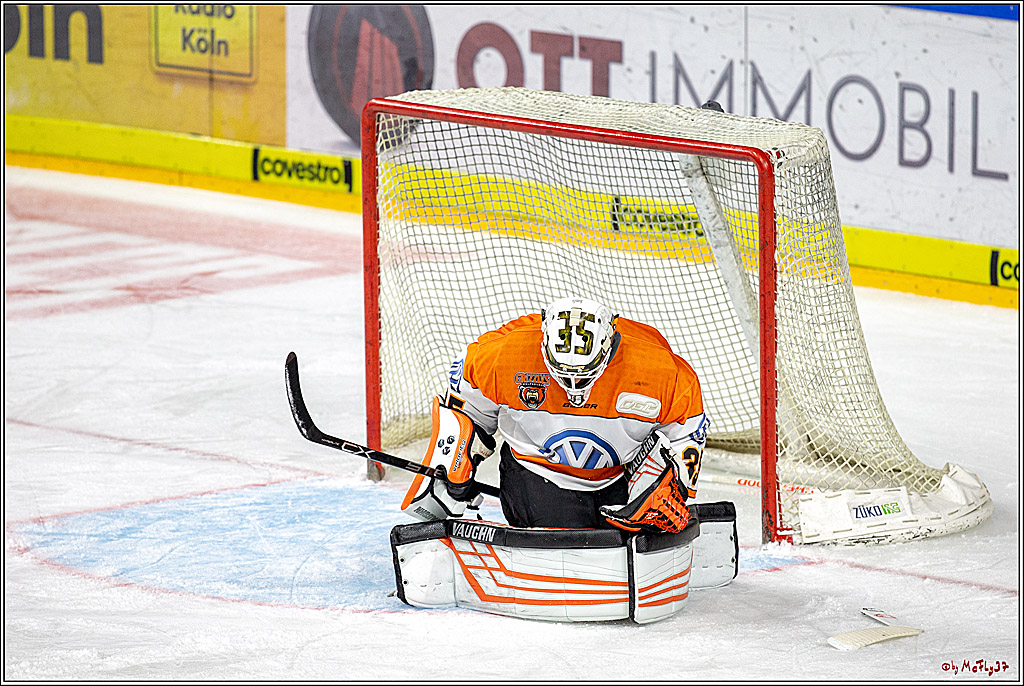 DEL Koelner Haie - Grizzlys Wolfsburg, 23.09.2018